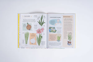 Grow: A Family Guide to Plants and How to Grow Them (In Our Nature)