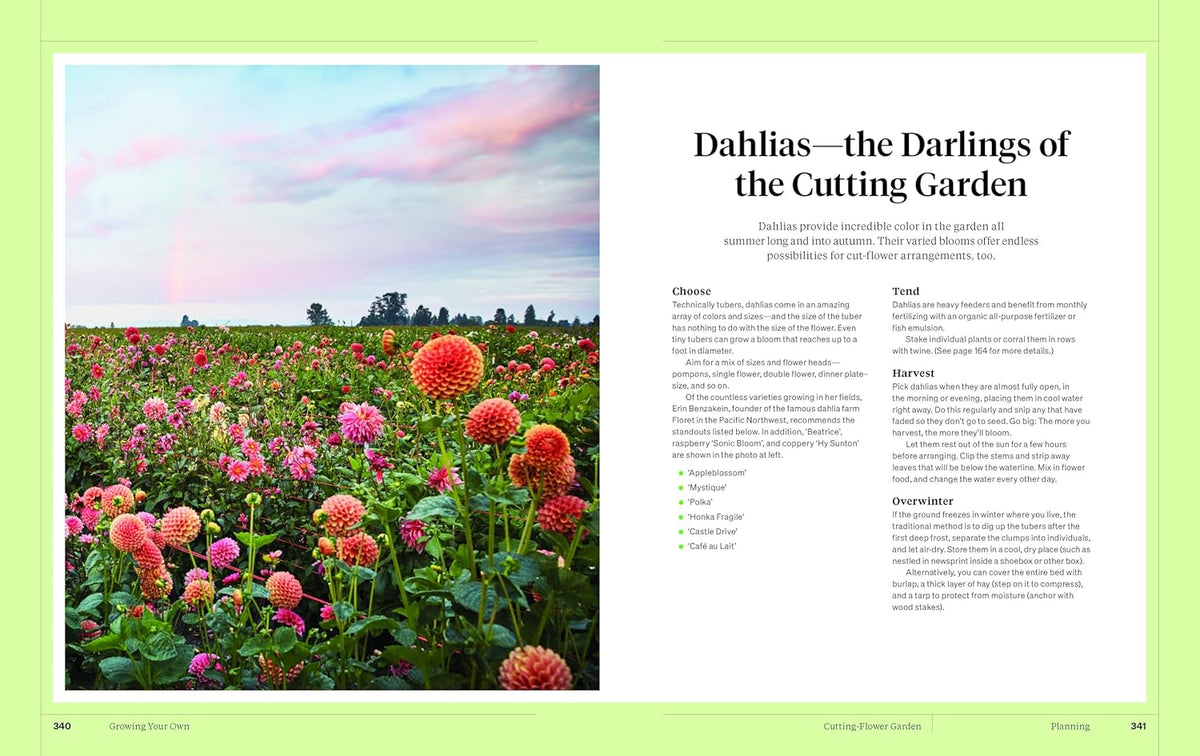 Martha Stewart's Gardening Handbook main image 1