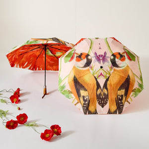 Maria Sybilla Collection