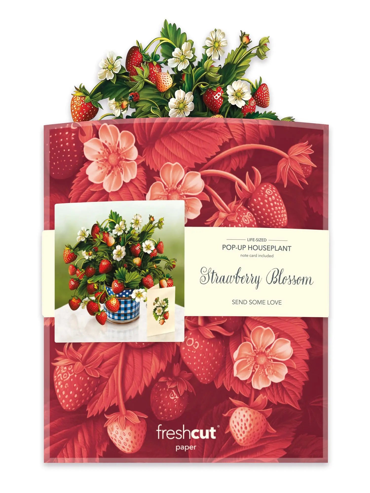 Strawberry Blossom Flower Bouquet