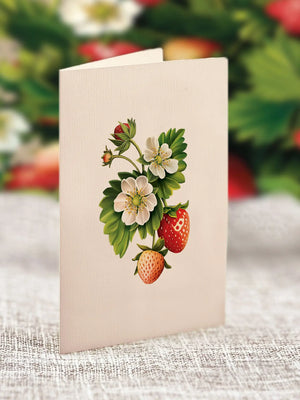 Strawberry Blossom Flower Bouquet