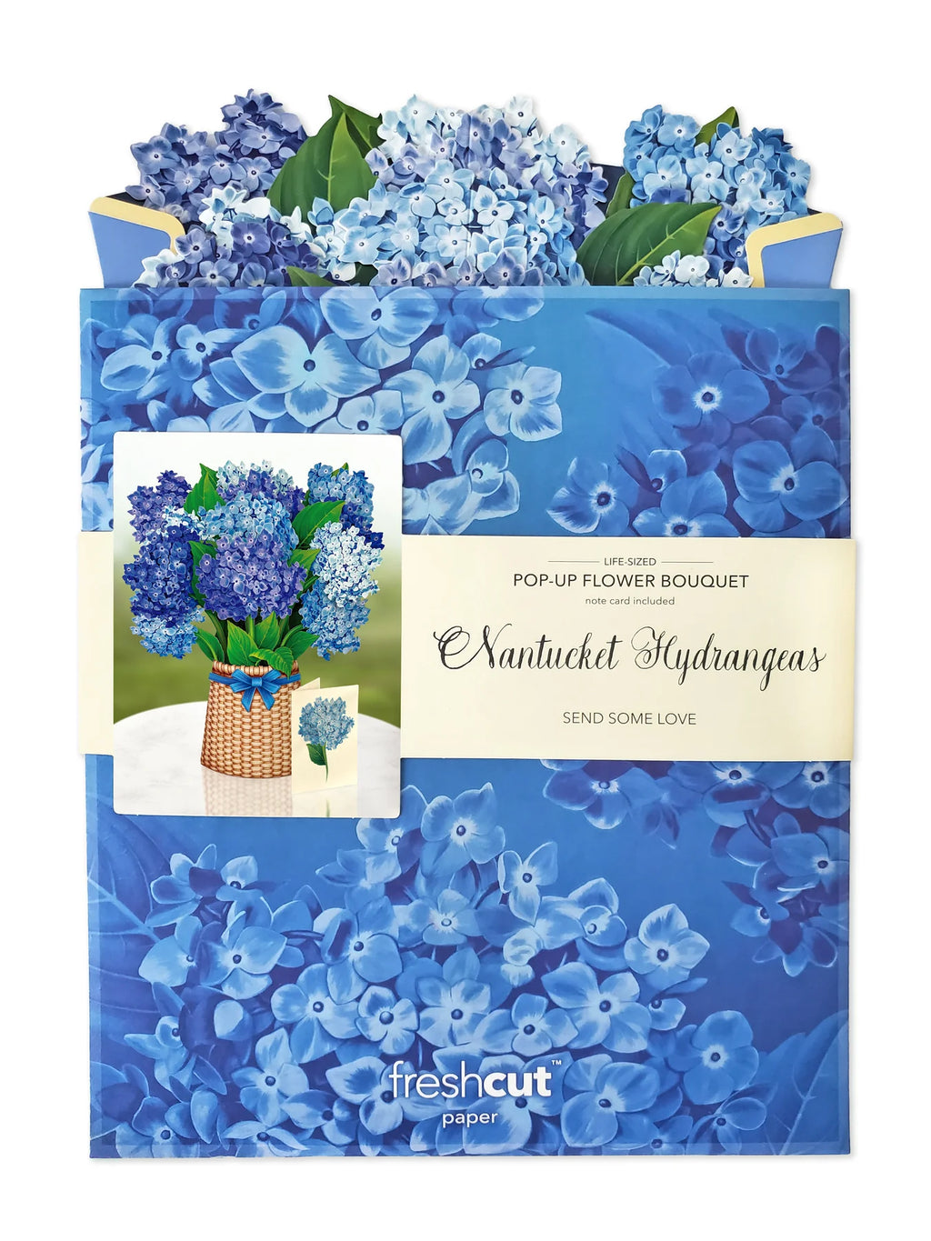 Freshcut Paper - Flowers - Be Charmed Gifts