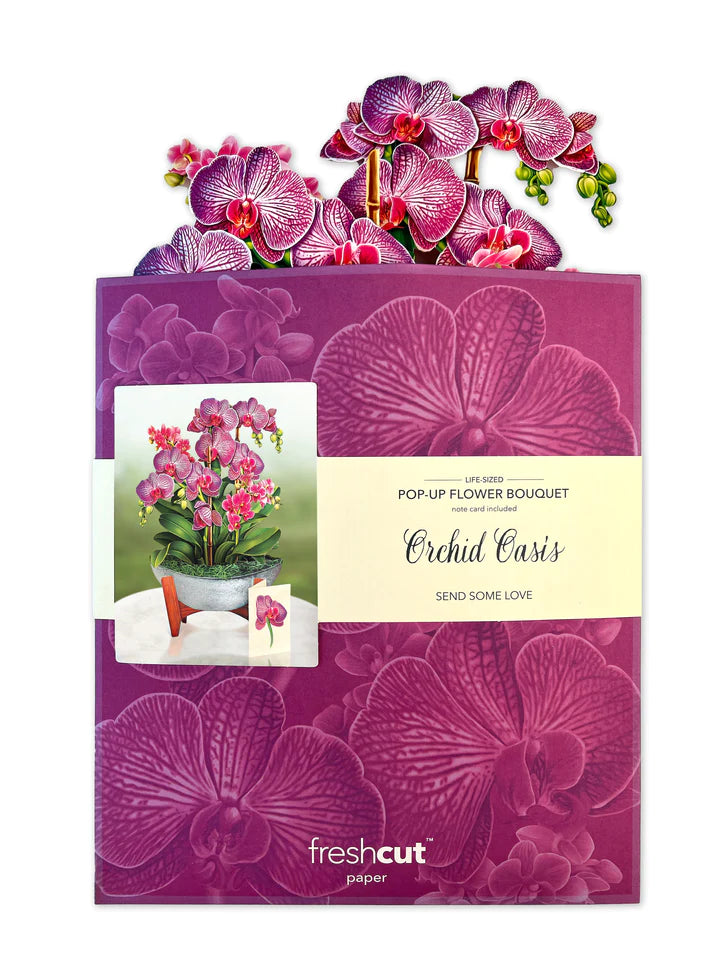 Orchid Oasis Paper Plant