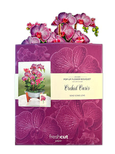 Orchid Oasis Paper Plant