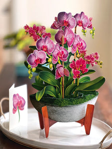 Orchid Oasis Paper Plant