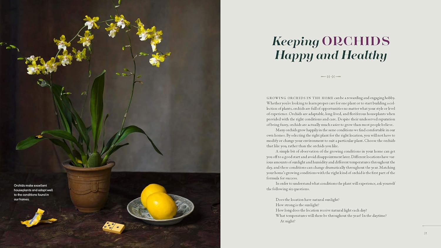 Orchid Modern: Living and Designing with the World’s Most Elegant Houseplants
