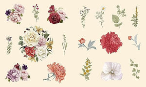 Sticker Studio: Flora: A Sticker Gallery of Beautiful Blooms