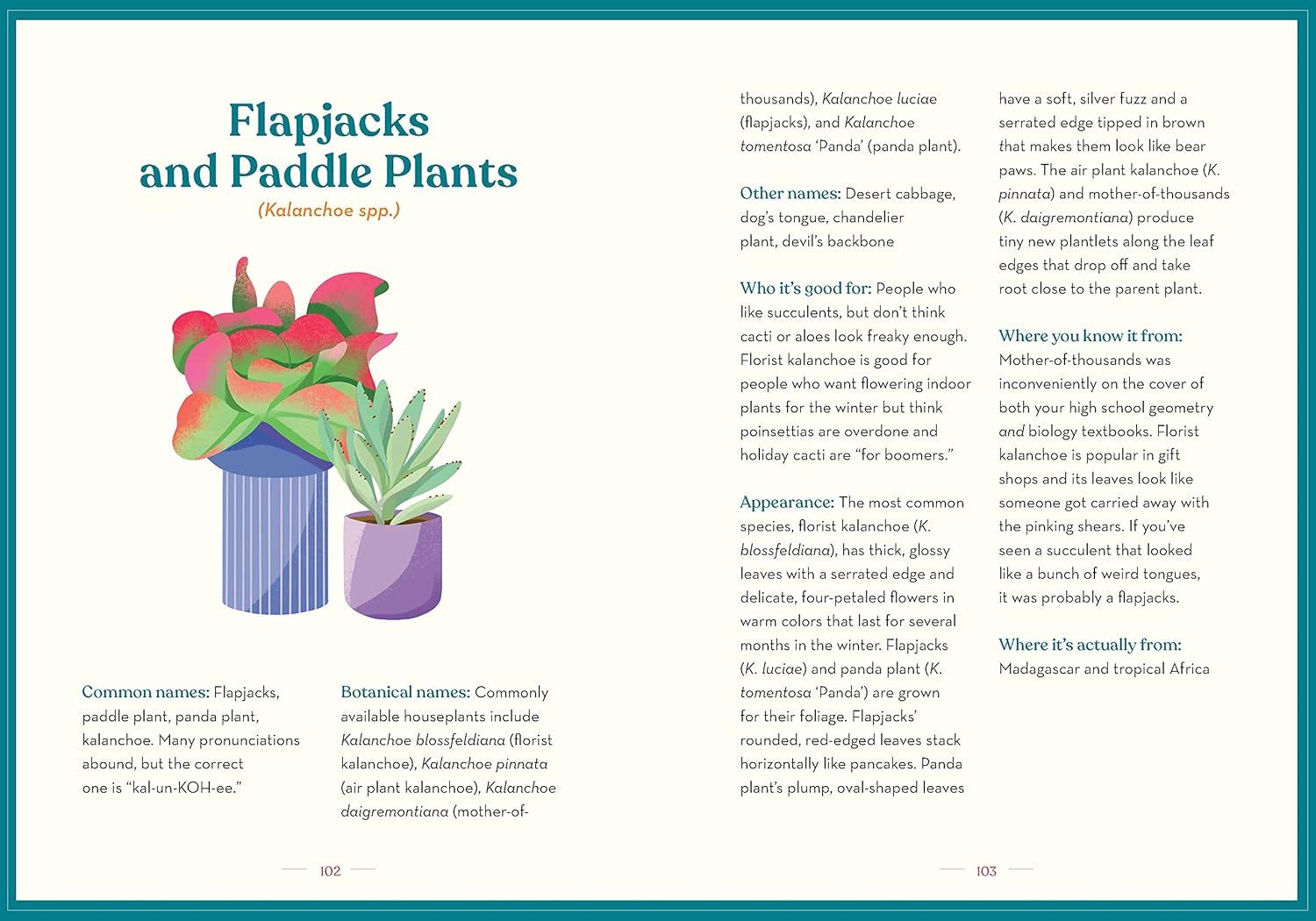 The Green Dumb Guide to Houseplants: 45 Unfussy Plants That Are Easy to Grow and Hard to Kill