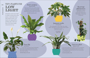 How Not to Kill Your Houseplant New Edition: Survival Tips for the Horticulturally Challenged