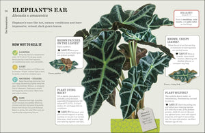 How Not to Kill Your Houseplant New Edition: Survival Tips for the Horticulturally Challenged
