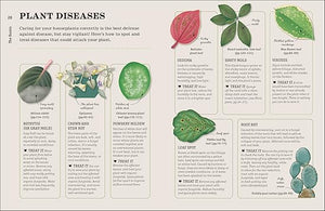 How Not to Kill Your Houseplant New Edition: Survival Tips for the Horticulturally Challenged