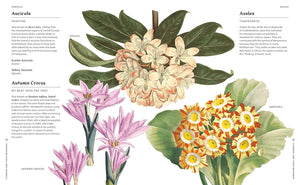 Flowers and Their Meanings: The Secret Language and History of Over 600 Blooms