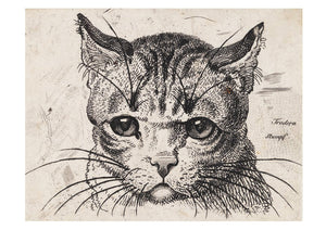 Cats of the V&A: 50 Postcards