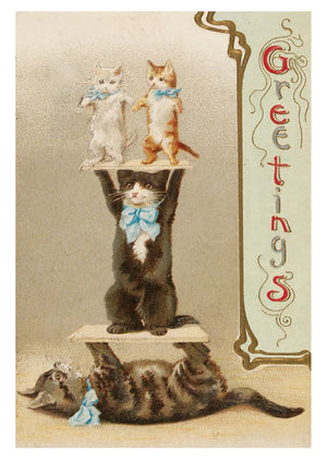 Cats of the V&A: 50 Postcards