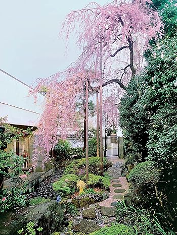 Inside Your Japanese Garden: A Guide to Creating a Unique Japanese Garden for Your Home