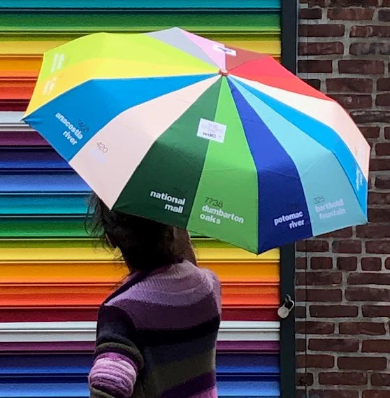 Colors of Washington Travel Umbrella