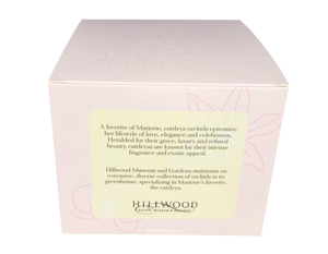Sea Salt & Orchid Candle