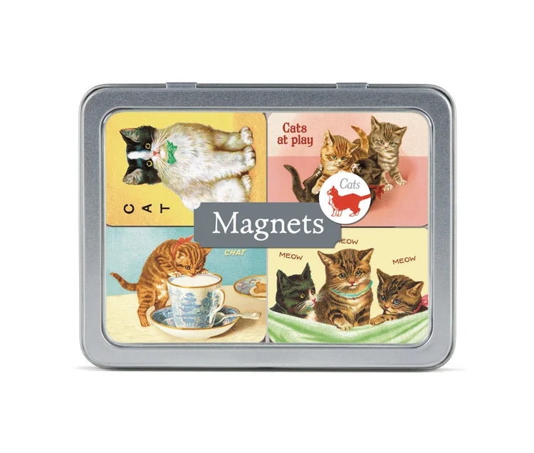 Cats Magnet Set