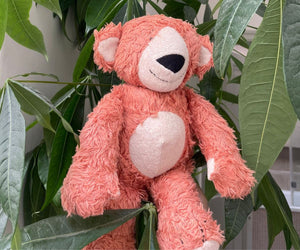 Organic Cotton Bon Bon Bear Teddy