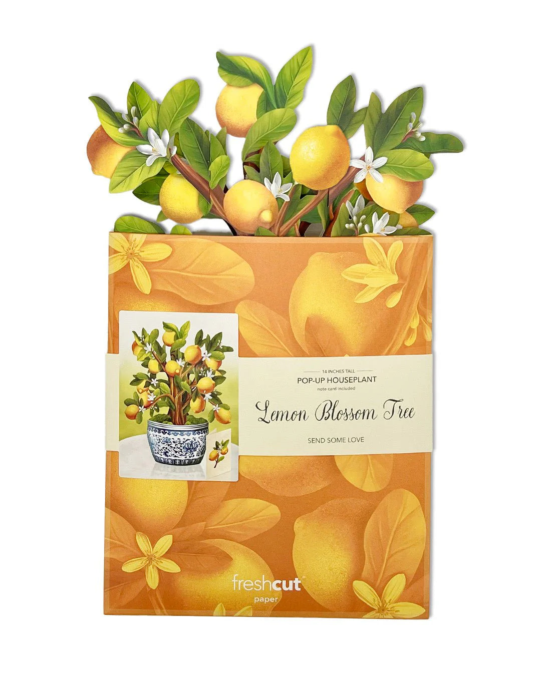 Lemon Blossom Tree