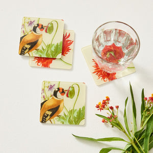Maria Sybilla Merian Coaster Set