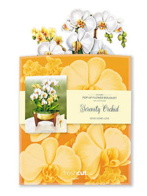 Serenity Orchid Paper Plant
